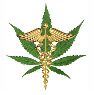 MEDICAL MARIJUANA IN FLORIDA: LEGAL TO PRESCRIBE, BUT WHAT ABOUT IN THE WORKPLACE?